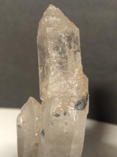 Anatase, Quartz<br />Brenva Glacier, Veny Valley, Monte Bianco Massif (Mont Blanc Massif), Courmayeur, Aosta Valley (Val d'Aosta), Italy<br />77 x 32 mm<br /> (Author: Sante Celiberti)