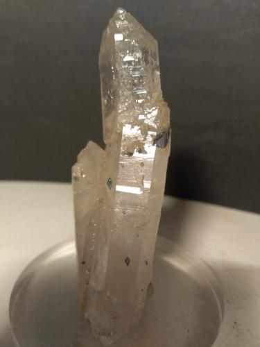 Anatase, Quartz<br />Brenva Glacier, Veny Valley, Monte Bianco Massif (Mont Blanc Massif), Courmayeur, Aosta Valley (Val d'Aosta), Italy<br />77 x 32 mm<br /> (Author: Sante Celiberti)