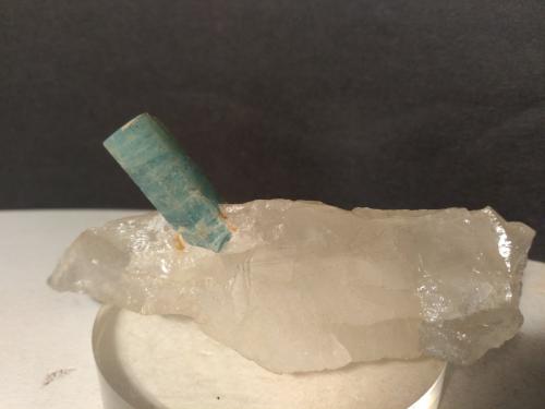 Beryl (variety aquamarine), Quartz<br />Codera Valley, Novate Mezzola, Valchiavenna, Sondrio, Lombardy, Italy<br />93 x 38 mm<br /> (Author: Sante Celiberti)