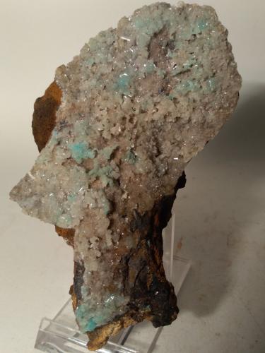 Hemimorfita, Aurichalcita<br />Campiglia Marittima, Campigliese, Livorno Province, Toscana, Italy<br />119 x 65 mm<br /> (Autor: Sante Celiberti)