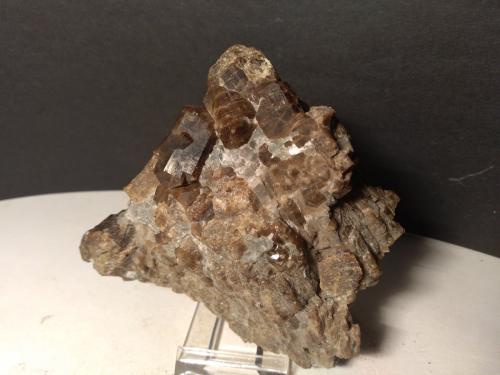 Vesuvianite<br />Montes Monzoni, Valle Fassa, Provincia Trento, Trentino-Alto Adige (Trentino-Südtirol), Italia<br />132 x 98 mm<br /> (Author: Sante Celiberti)