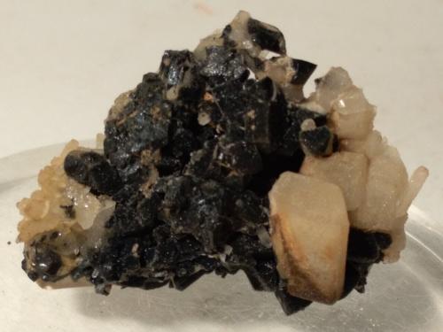 Ilvaita, Cuarzo pseudomórfico de Ilvaita, Cuarzo<br />Campiglia Marittima, Campigliese, Livorno Province, Toscana, Italy<br />40 x 26 mm<br /> (Autor: Sante Celiberti)