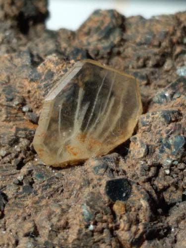 Titanite, Chlorite (Group)<br />Gava Valley, Genova Province, Liguria, Italy<br />62,5 x 49 mm<br /> (Author: Sante Celiberti)