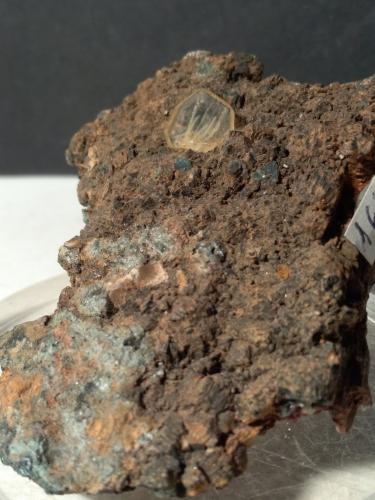 Titanite, Chlorite (Group)<br />Gava Valley, Genova Province, Liguria, Italy<br />62,5 x 49 mm<br /> (Author: Sante Celiberti)