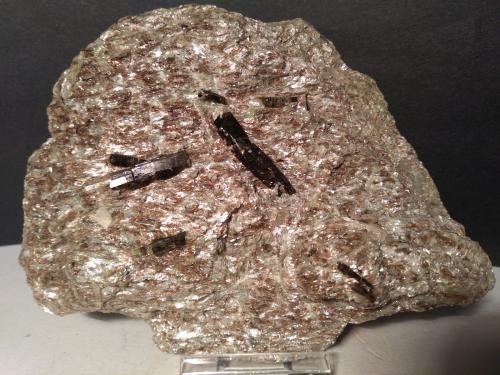 Dravite (Tourmaline Group)<br />Canteras Beura, Beura-Cardezza, Valle Ossola, Provincia Verbano-Cusio-Ossola, Piamonte (Piemonte), Italia<br />132 x 98 mm<br /> (Author: Sante Celiberti)