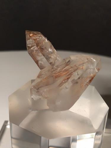 Rutile, Quartz<br />Vizze Valley, Bolzano Province, Trentino-Alto Adige (Trentino-Südtirol), Italy<br />33 x 32 mm<br /> (Author: Sante Celiberti)