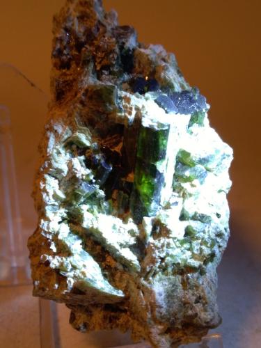 Vesuvianite<br />Bellecombe, Châtillon, Aosta Valley (Val d'Aosta), Italy<br />63 x 39 mm<br /> (Author: Sante Celiberti)