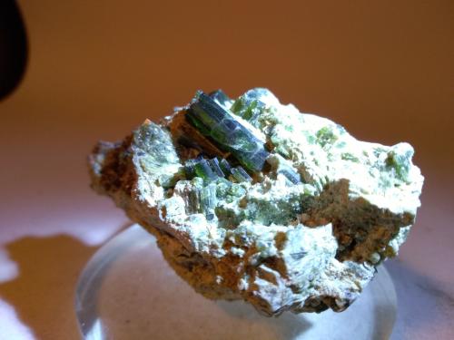 Vesuvianite<br />Bellecombe, Châtillon, Aosta Valley (Val d'Aosta), Italy<br />63 x 39 mm<br /> (Author: Sante Celiberti)