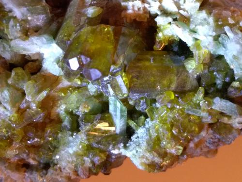 Epidote, Diopside<br />Monte Barbeston (Mont Barbeston), Châtillon, Aosta Valley (Val d'Aosta), Italy<br />77 x 46 mm<br /> (Author: Sante Celiberti)