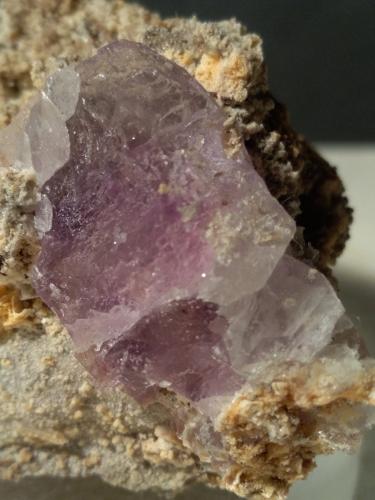 Fluorite<br />Paglio Pignolino Mine, Dossena, Brembana Valley, Bergamo Province, Lombardy/Lombardia, Italy<br />77,5 x 47,5 mm<br /> (Author: Sante Celiberti)