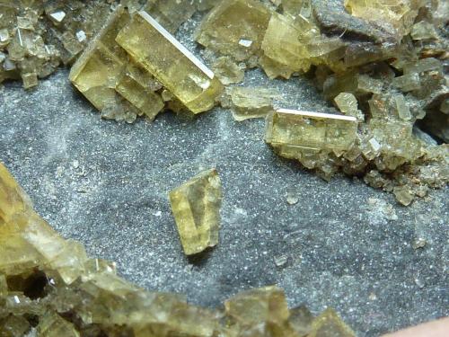 Barita<br />Meikle Mine, Bootstrap District, Elko County, Nevada, USA<br />3 x 3 cm.<br /> (Autor: javier ruiz martin)