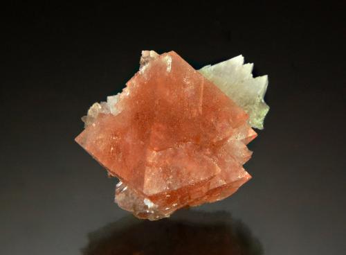 Fluorite<br />Mont Blanc Massif, Chamonix, Haute-Savoie, Auvergne-Rhône-Alpes, France<br />2.0 x 2.4 cm<br /> (Author: Michael Shaw)