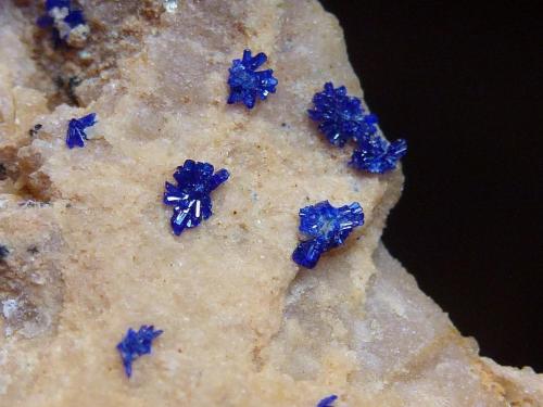 Azurita<br />Reformada Mine, El Pinar de Bédar, Bédar, Comarca Levante Almeriense, Almería, Andalusia, Spain<br />6 x 4 cm. la pieza 1 cm. encuadre foto.<br /> (Autor: javier ruiz martin)