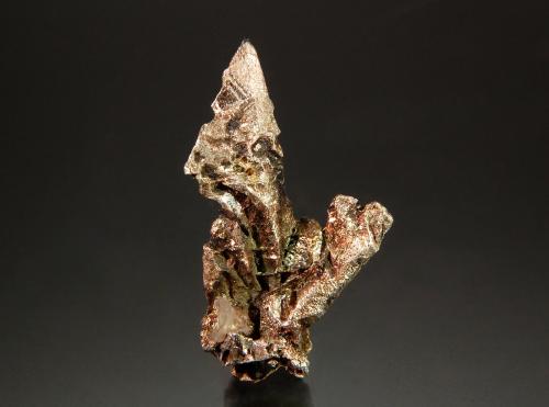 Silver<br />Mina Ridge (absorbida por mina Mass Consolidated), Mass City, Condado Ontonagon, Michigan, USA<br />1.6 cm x 2.9 cm<br /> (Author: Michael Shaw)