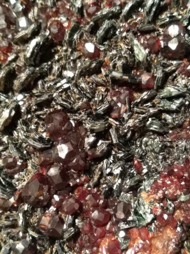 Grossular (variety hessonite), Clinochlore<br />Faiallo Pass, Urbe, Savona Province, Liguria, Italy<br />85 x 76 mm<br /> (Author: Sante Celiberti)