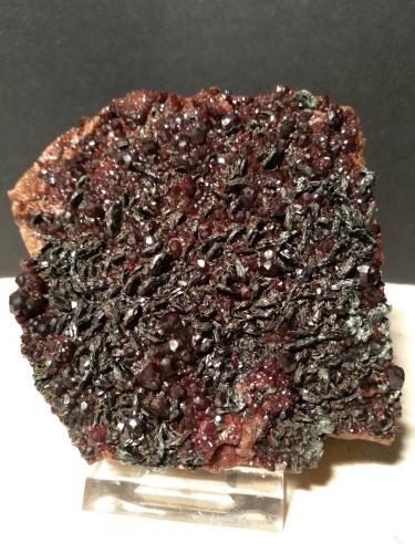 Grossular (variety hessonite), Clinochlore<br />Faiallo Pass, Urbe, Savona Province, Liguria, Italy<br />85 x 76 mm<br /> (Author: Sante Celiberti)