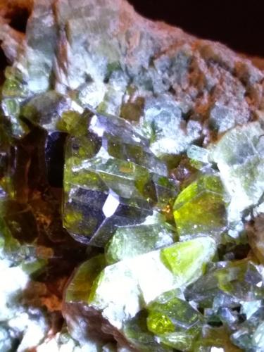 Epidote, Diopside<br />Falin Lake, Usseglio, Val di Viù / Viù Valley, Lanzo Valleys (Valli di Lanzo), Metropolitan City of Turin Province, Piedmont (Piemonte), Italy<br />127 x 65 mm<br /> (Author: Sante Celiberti)