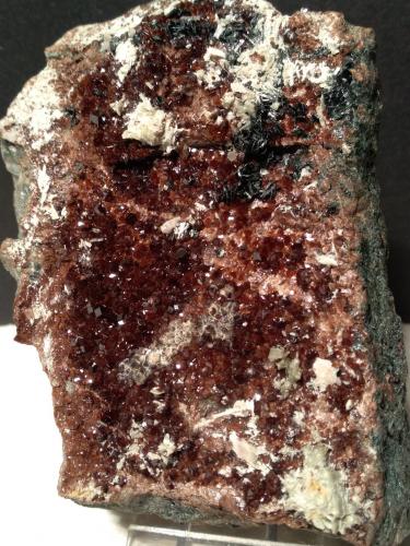 Grossular (variety hessonite), Diopside, Clinochlore<br />Gava Valley, Genova Province, Liguria, Italy<br />102 x 73 mm<br /> (Author: Sante Celiberti)