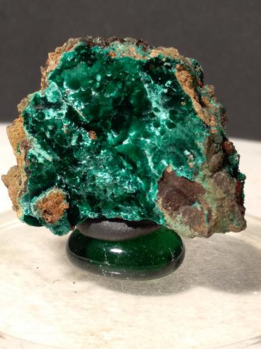 Malaquita<br />Campiglia Marittima, Campigliese, Livorno Province, Toscana, Italy<br />41 x 30 mm<br /> (Autor: Sante Celiberti)