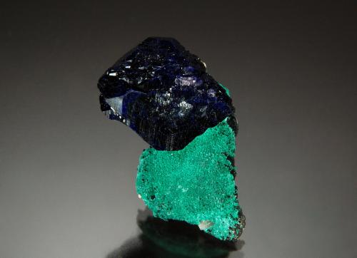 Azurite on Malachite<br />Milpillas Mine, Cuitaca, Municipio Santa Cruz, Sonora, Mexico<br />2.0 cm x 3.0 cm<br /> (Author: Michael Shaw)