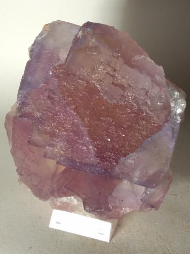 Fluorite<br />Zogno, Brembana Valley, Bergamo Province, Lombardy/Lombardia, Italy<br />125 x 115 mm<br /> (Author: Sante Celiberti)