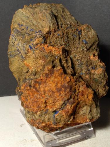 Azurita, Hedenbergita<br />Campiglia Marittima, Campigliese, Livorno Province, Toscana, Italy<br />95 x 75 mm<br /> (Autor: Sante Celiberti)