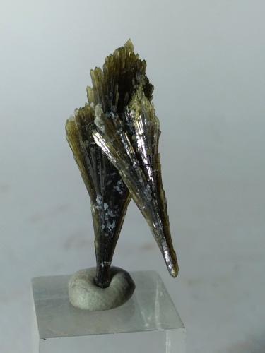 Epidote<br />Canteras Premia gneiss, Premia, Antigorio Valley, Valle Ossola, Provincia Verbano-Cusio-Ossola, Piamonte (Piemonte), Italia<br />32 x 12 mm<br /> (Author: Sante Celiberti)
