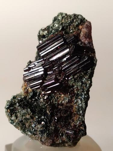 Vesuvianite, Clinochlore<br />Punta Cristalliera, Roure, Provincia Ciudad metropolitana de Turín, Piamonte (Piemonte), Italia<br />25 x 14,6 mm<br /> (Author: Sante Celiberti)