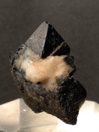 Magnetite<br />Monte Rosso di Verra, Champoluc, Val d'Ayas, Aosta Valley (Val d'Aosta), Italy<br />31 x 29 mm<br /> (Author: Sante Celiberti)