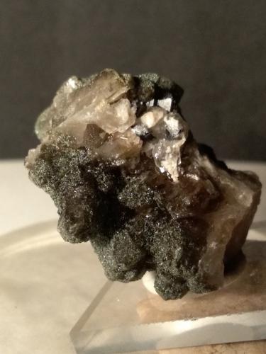 Anatase, Quartz, Chlorite<br />La Thuile, Valle de Aosta (Val d'Aosta), Italia<br />32 x 32 mm<br /> (Author: Sante Celiberti)