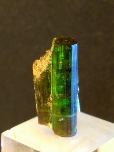 Vesuvianite<br />Bellecombe, Châtillon, Valle de Aosta (Val d'Aosta), Italia<br />17 x 8 mm<br /> (Author: Sante Celiberti)