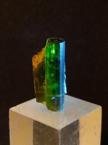 Vesuvianite<br />Bellecombe, Châtillon, Aosta Valley (Val d'Aosta), Italy<br />17 x 8 mm<br /> (Author: Sante Celiberti)