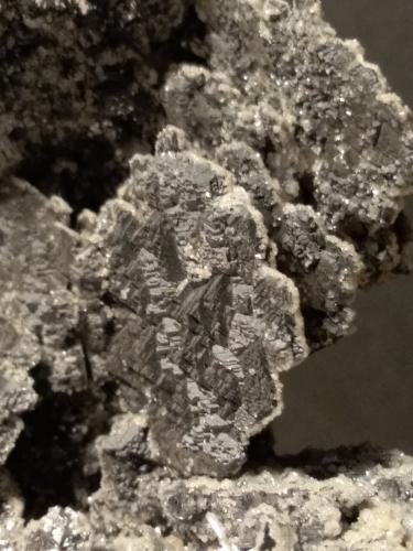 Galena<br />Gavorrano Mine, Gavorrano, Grosseto Province, Tuscany, Italy<br />74 x 55 mm<br /> (Autor: Sante Celiberti)