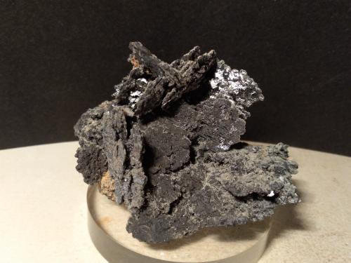 Galena<br />Gavorrano Mine, Gavorrano, Grosseto Province, Tuscany, Italy<br />74 x 55 mm<br /> (Autor: Sante Celiberti)