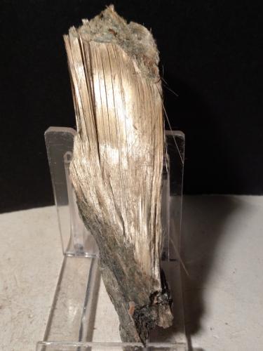 Balangeroite<br />Mina Poggio San Vittore asbestos, Balangero, Valles Lanzo (Valli di Lanzo), Provincia Ciudad metropolitana de Turín, Piamonte (Piemonte), Italia<br />104 x 27 mm<br /> (Author: Sante Celiberti)