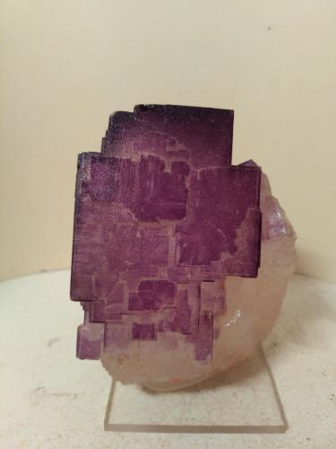 Fluorite<br />Camissinone Mine, Zogno, Brembana Valley, Bergamo Province, Lombardy/Lombardia, Italy<br />72 x 58 mm<br /> (Author: Sante Celiberti)