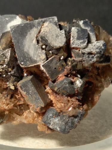 Galena, Calcopirita, Pirita, Cuarzo<br />Gavorrano Mine, Gavorrano, Grosseto Province, Tuscany, Italy<br />46 x 53 mm<br /> (Autor: Sante Celiberti)