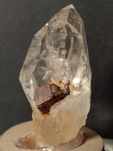 Quartz, Goethite pseudomorph after Pyrite<br />Formazza Valley, Ossola Valley, Verbano-Cusio-Ossola Province, Piedmont (Piemonte), Italy<br />52 x 27 mm<br /> (Author: Sante Celiberti)