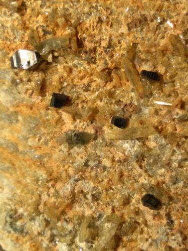 Anatase, Quartz<br />Valle Loga, Madesimo, Sondrio, Lombardía, Italia<br />61 x 64 mm<br /> (Author: Sante Celiberti)