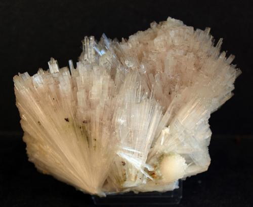 Escolecita (Scolecita)<br />India<br />9,5 x 6.5 cm<br /> (Autor: Pedro Antonio)