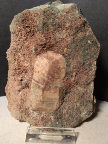 Titanite<br />Gava Valley, Genova Province, Liguria, Italy<br />122 x 92 mm<br /> (Author: Sante Celiberti)