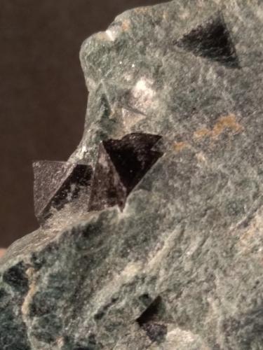 Magnetite<br />Monte Rosso di Verra, Champoluc, Val d'Ayas, Valle de Aosta (Val d'Aosta), Italia<br />83 x 50 mm<br /> (Author: Sante Celiberti)