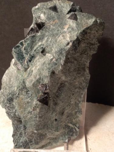 Magnetite<br />Monte Rosso di Verra, Champoluc, Val d'Ayas, Aosta Valley (Val d'Aosta), Italy<br />83 x 50 mm<br /> (Author: Sante Celiberti)