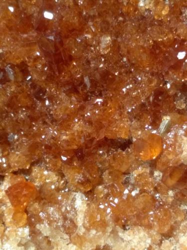 Grossular (variety hessonite), Diopside, Clinochlore<br />Bellecombe, Châtillon, Aosta Valley (Val d'Aosta), Italy<br />105 x 105 mm<br /> (Author: Sante Celiberti)