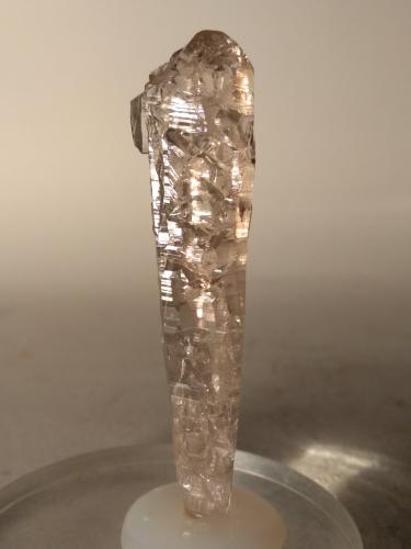 Quartz (smokey)<br />Miage Glacier, Veny Valley, Monte Bianco Massif (Mont Blanc Massif), Courmayeur, Aosta Valley (Val d'Aosta), Italy<br />73 x 16 mm<br /> (Author: Sante Celiberti)