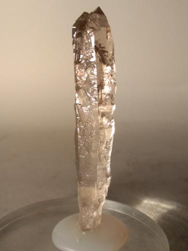 Quartz (smokey)<br />Miage Glacier, Veny Valley, Monte Bianco Massif (Mont Blanc Massif), Courmayeur, Aosta Valley (Val d'Aosta), Italy<br />73 x 16 mm<br /> (Author: Sante Celiberti)