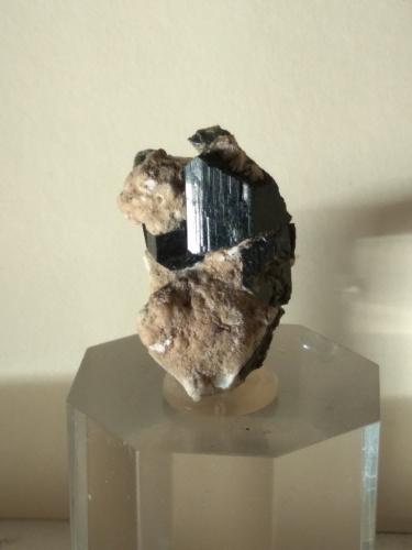 Augite (variety Fassaite)<br />Traversella Mine, Traversella, Chiusella Valley, Canavese District, Metropolitan City of Turin Province, Piedmont (Piemonte), Italy<br />36 x 22 mm<br /> (Author: Sante Celiberti)