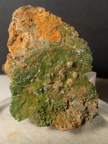 Pyromorphite<br />Mina Cinquevalli, Roncegno, Provincia Trento, Trentino-Alto Adige (Trentino-Südtirol), Italia<br />52 x 37 mm<br /> (Author: Sante Celiberti)