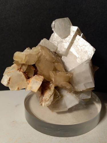 Magnesite, Dolomite, Quartz<br />Traversella Mine, Traversella, Chiusella Valley, Canavese District, Metropolitan City of Turin Province, Piedmont (Piemonte), Italy<br />70 x 73 mm<br /> (Author: Sante Celiberti)