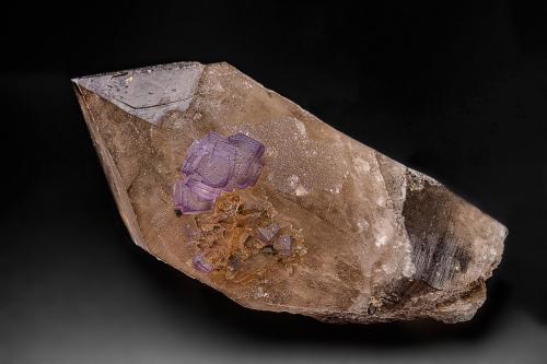 Fluorite, Quartz (variety smoky quartz)<br />Aiguille Verte, Mont Blanc Massif, Chamonix, Haute-Savoie, Auvergne-Rhône-Alpes, France<br />14.9 x 7.1 cm<br /> (Author: am mizunaka)